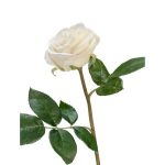 Роза Флоринбунда на стебле 34см