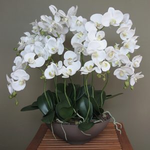 Композиция "Орхидея белая 11 веток в Чаше Диш Мокко"