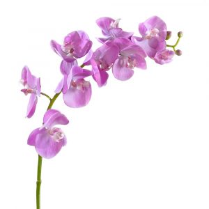 Орхидея Фаленопсис Мидл розово-белая 76см