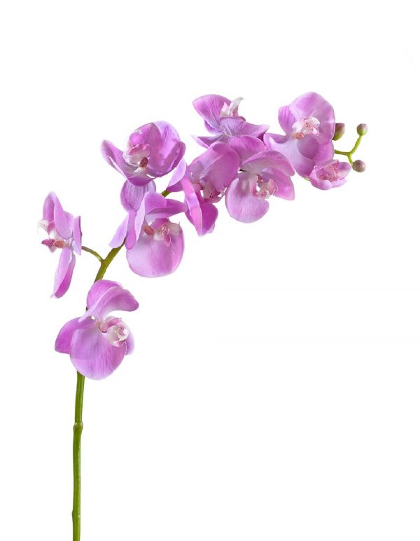 Орхидея Фаленопсис Мидл розово-белая 76см