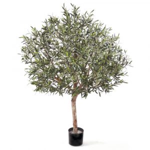 Олива дерево 150см