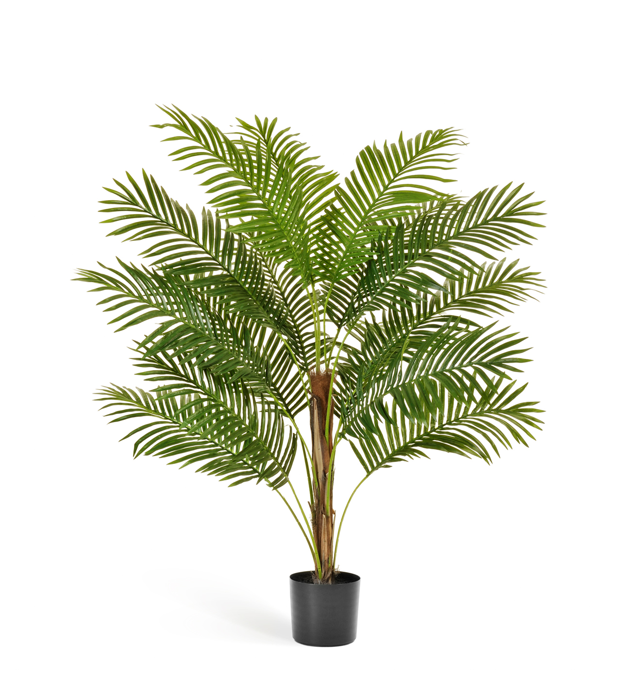 d6d4cac000dc11e89e3300248cbcf257-89bc4161ee2811e89fb400248cbcf257 Пальма Арека Парадиз 150см