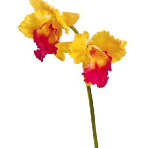 Орхидея Каттлея крупная темно-сиреневая 42см - Mix цветок (растения), 42