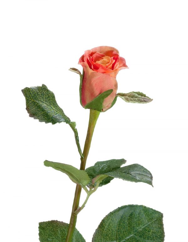 Роза Анабель персик-розовый 52см