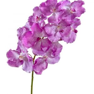 Орхидея Ванда с ярко-сиреневыми прожилками 75см