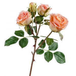 Роза Флорибунда ветвь розово-персиковая 3цв, 1бут 60см