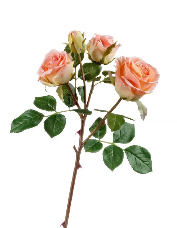 Роза Флорибунда ветвь розово-персиковая 3цв, 1бут 60см