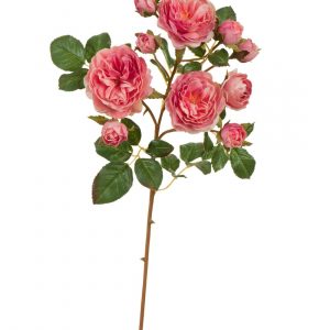 Роза Дэвид Остин ветка Спрей пастельно-розово-малиновая 51см