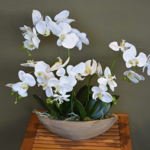 Композиция "Орхидея фаленопсис белая 5 веток в лодочке"