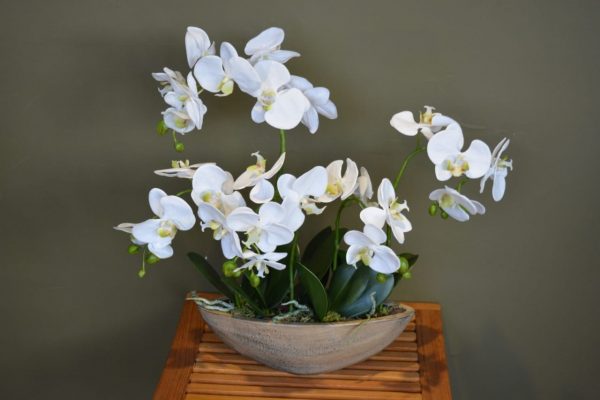 Композиция "Орхидея фаленопсис белая 5 веток в лодочке"