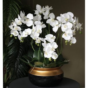Композиция "Орхидея фаленопсис белая 7 веток в черном кашпо"
