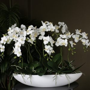 Композиция "Орхидея фаленопсис белая 9 веток в белой лодке"