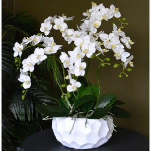 Композиция "Орхидея фаленопсис белая 7 веток в белой низкой чаши"