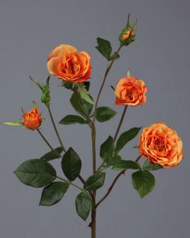 Роза Вайлд ветвь персиково-оранжевая 41см