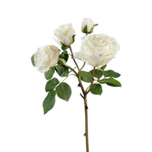 Роза Флорибунда (4 цвета) 60см