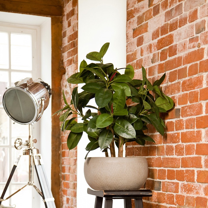 MESHB43-AW Кашпо Лотус Чаша