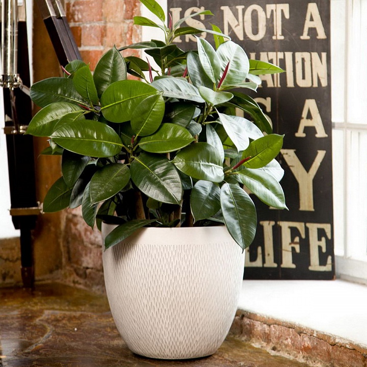 MESHR44-AW55 Кашпо Лотус Круглое