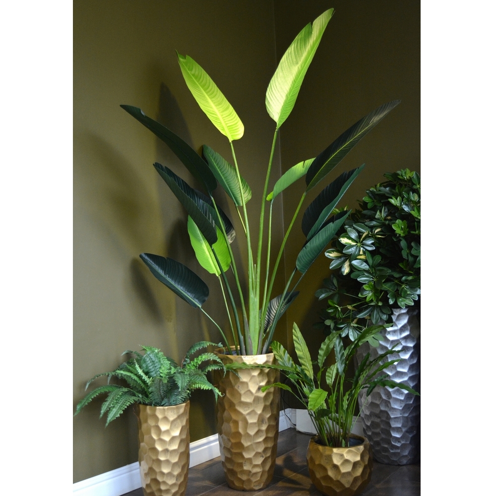 стрелиция, калатея, ваза мозаик зол, сфера Стрелиция Style зеленая