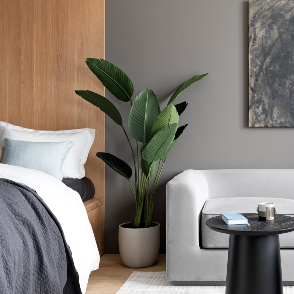 стрелицияэ Стрелиция Style зеленая