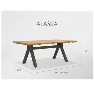 ALASKA Обеденный  стол  220 см каркас Carbon matte