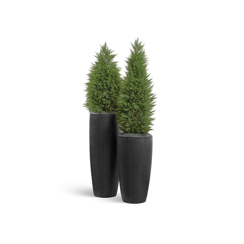 Кашпо TREEZ Effectory Quartz Высокий конус Design Чёрный кварц