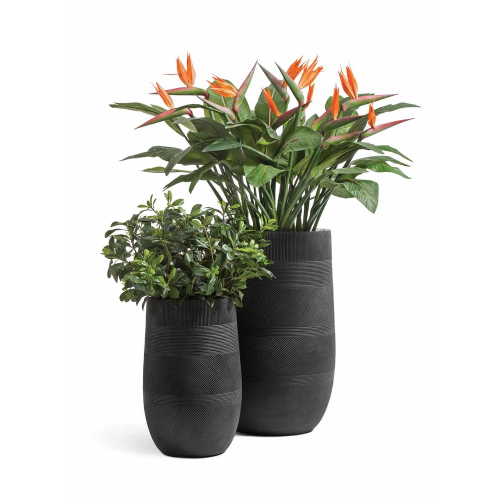 41.1020-0045-BLW-751 Кашпо TREEZ ERGO Graphics Высокая округлая чаша Чёрный графит