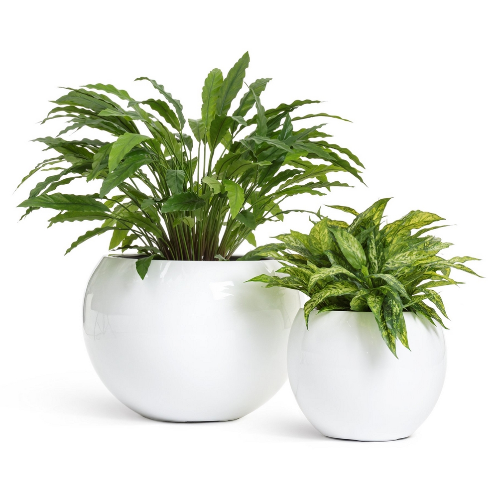 Кашпо TREEZ Effectory Gloss Полусфера Белый глянцевый лак