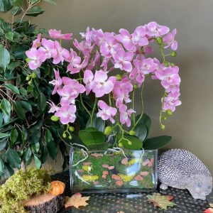 Композиция "Орхидея розовая Элегант в стеклянной прямоугольной вазе"