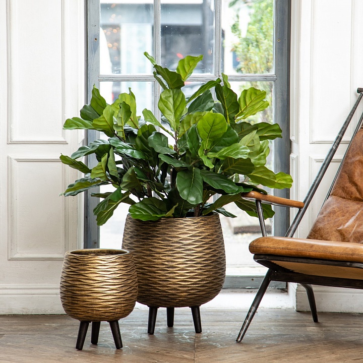 Кашпо Паттерн