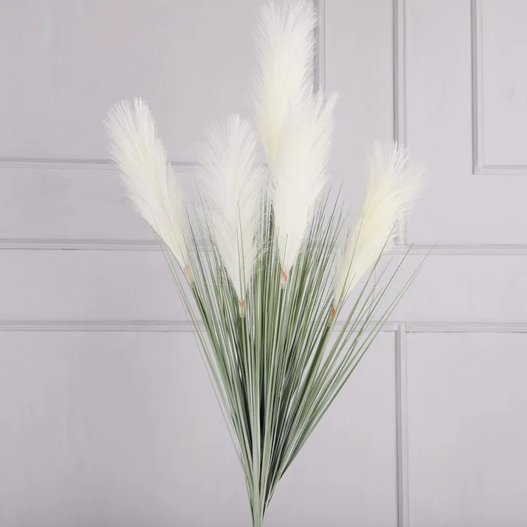 Осока с белыми перьями