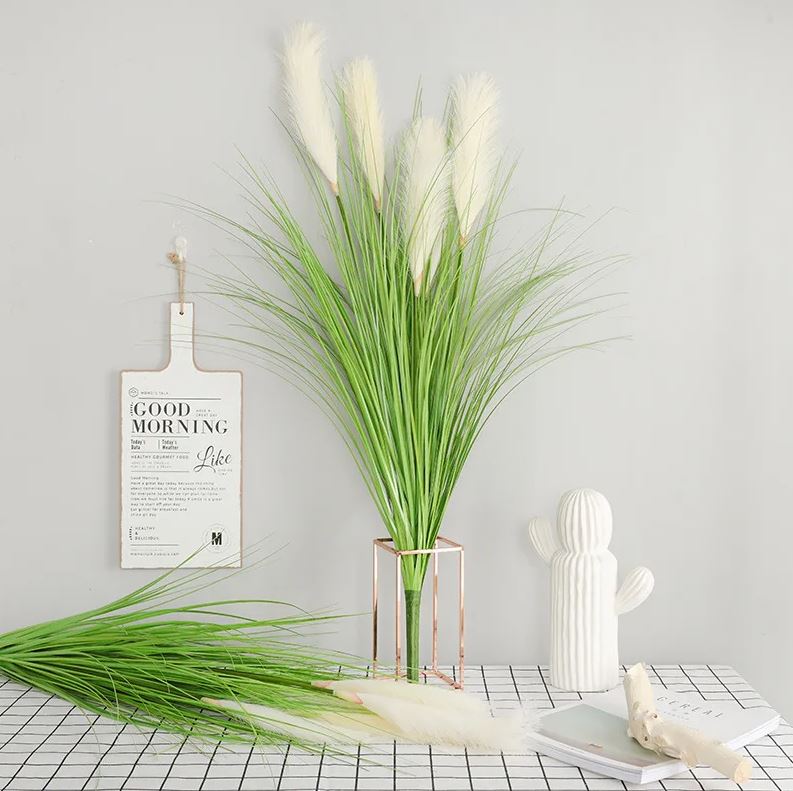 Осока с белыми перьями