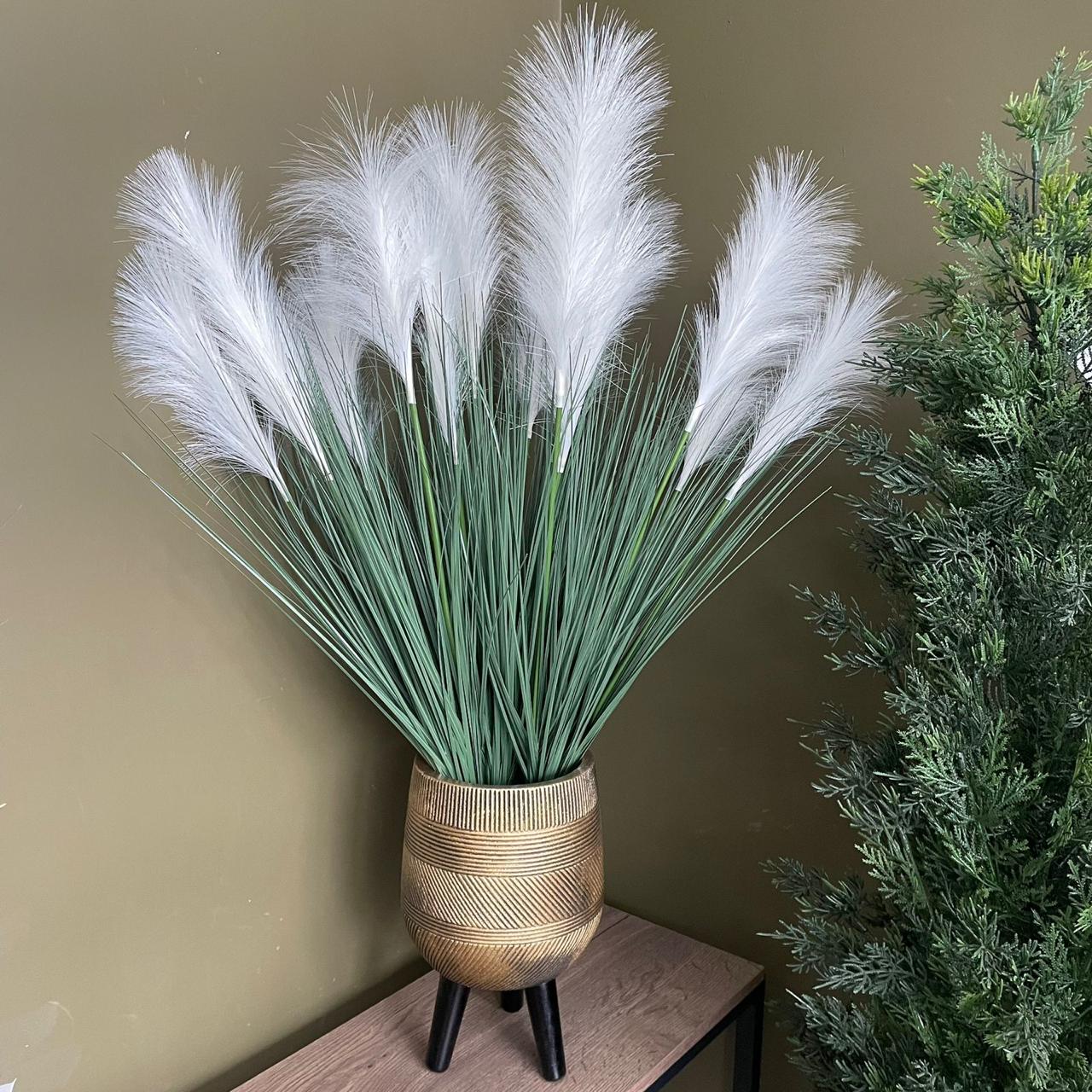 Осока с белыми перьями