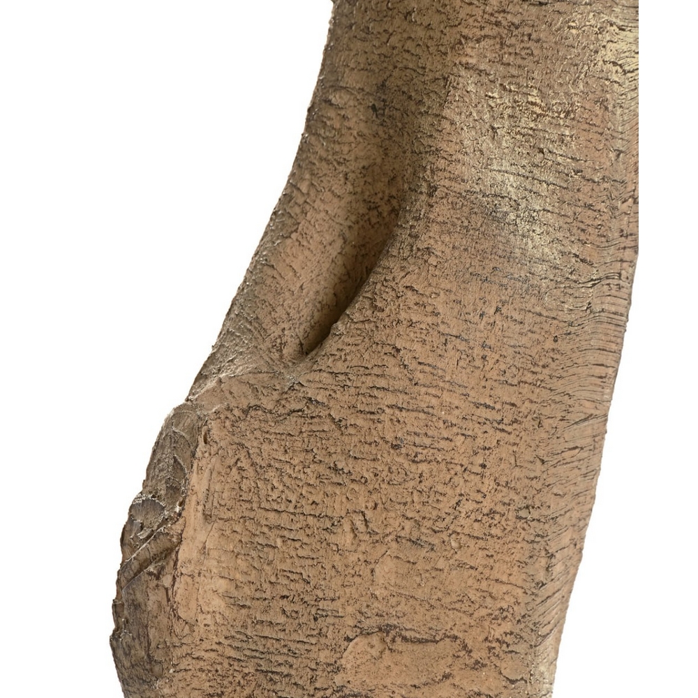 Гигантский фикус Лирата