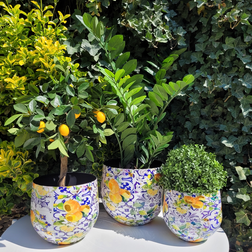 Кашпо TREEZ Effectory Savage Garden Дизайн-ваза Capri