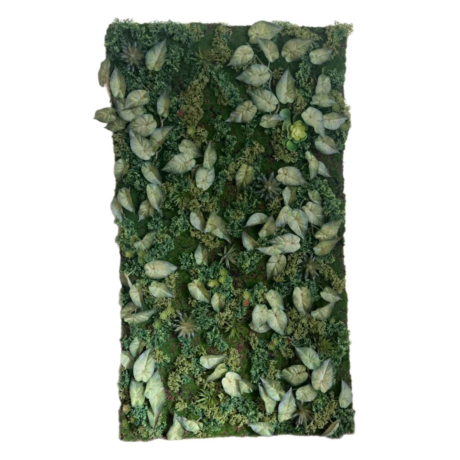 Фитостена №8/1м2