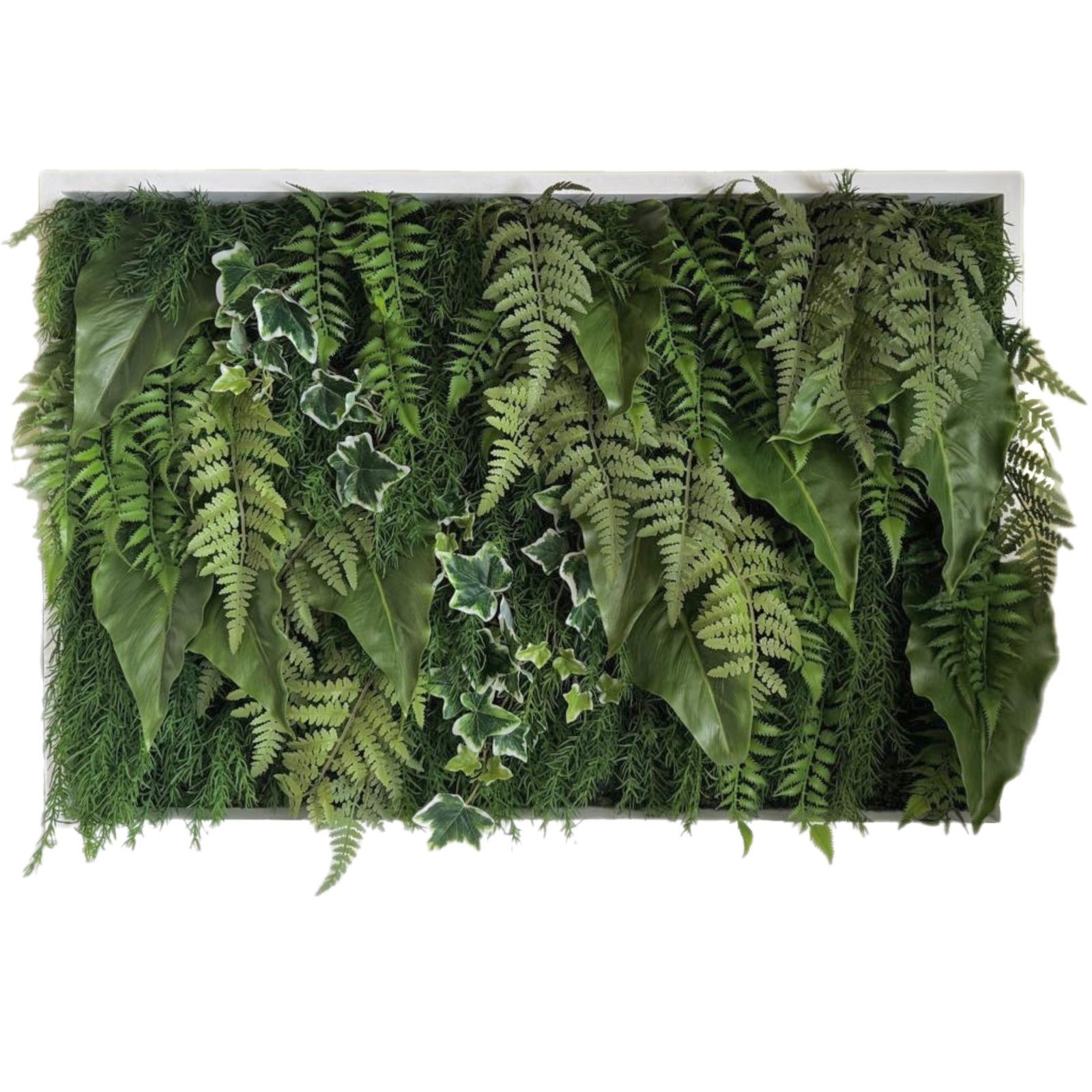 Фитокартина №4/1м2