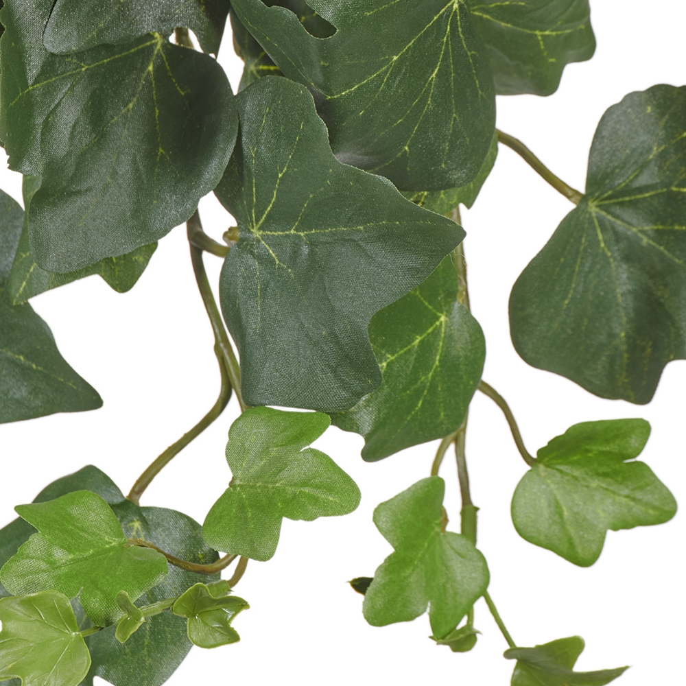 Английский плющ (серия FR - огнезащита)