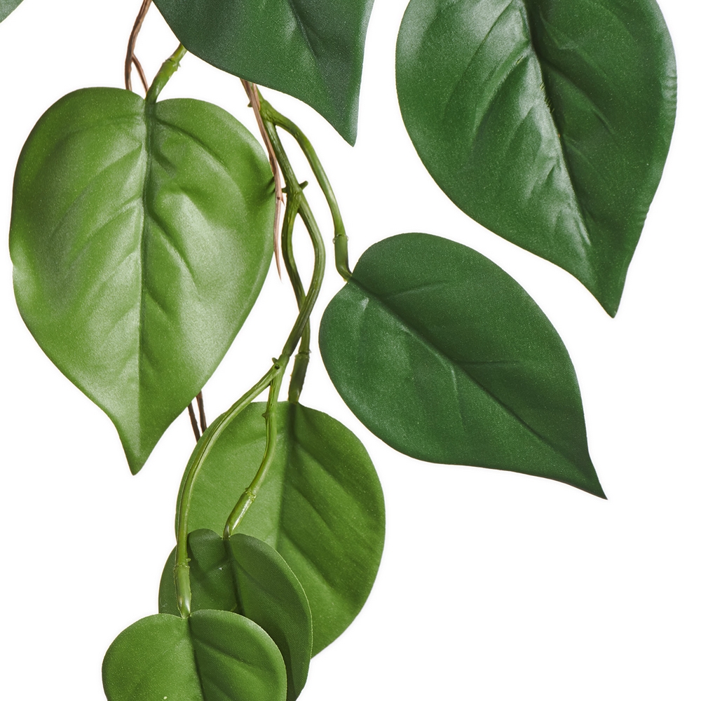 Филодендрон куст ампельный (серия FR - огнезащита)