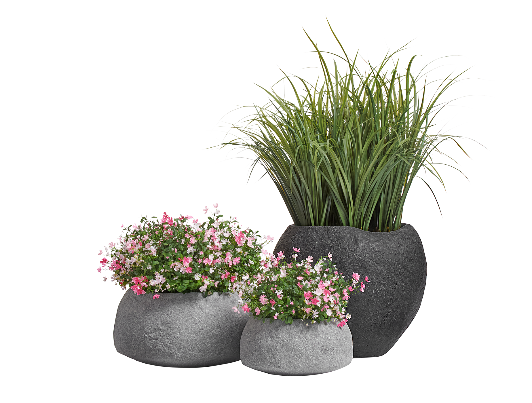 Лемонграсс трава зелёная в горшке 70 см