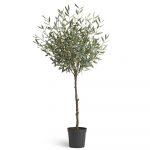 Олива Топиари Шар (серия Prime) 145 см
