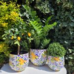 Кашпо TREEZ Effectory - Savage Garden Design