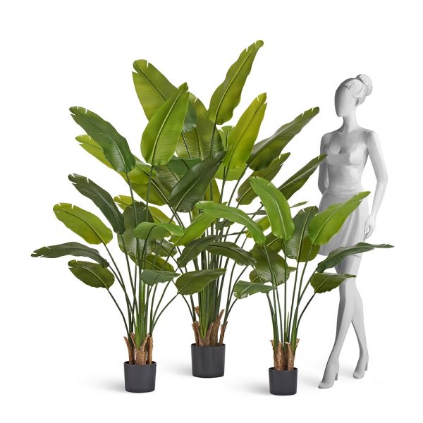 Стрелиция New Style (Sensitive Botanic) 180 см — изображение 4