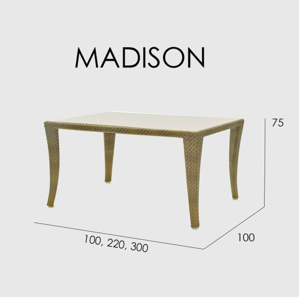 MADISON Cтол обеденный 300cм — изображение 2
