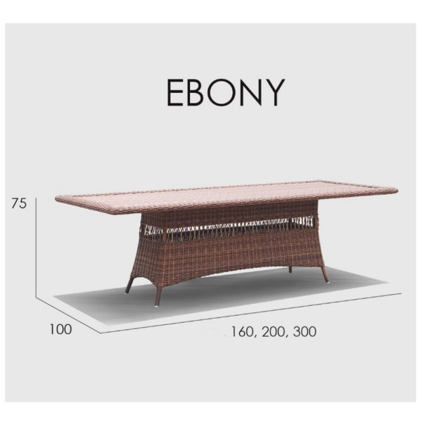 EBONY стол прямоугольный  200 см — изображение 2