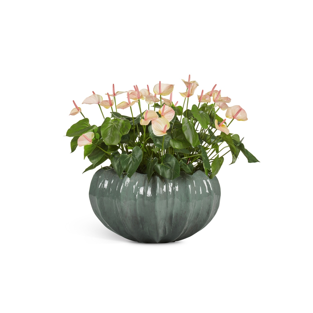 Кашпо TREEZ Effectory - Aura - Чаша - Изумрудный лак