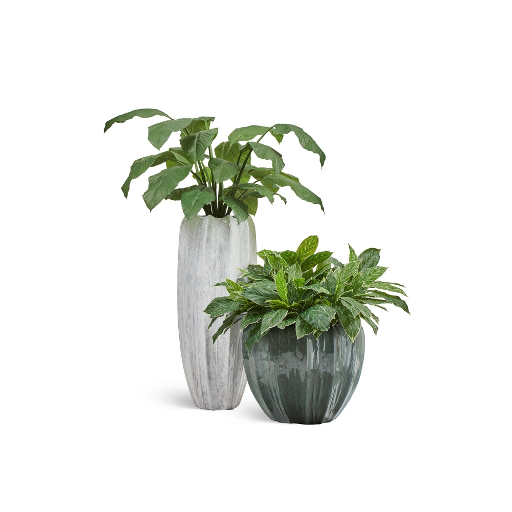 09101.jpg2 Кашпо TREEZ Effectory - Aura - Чаша - Изумрудный лак