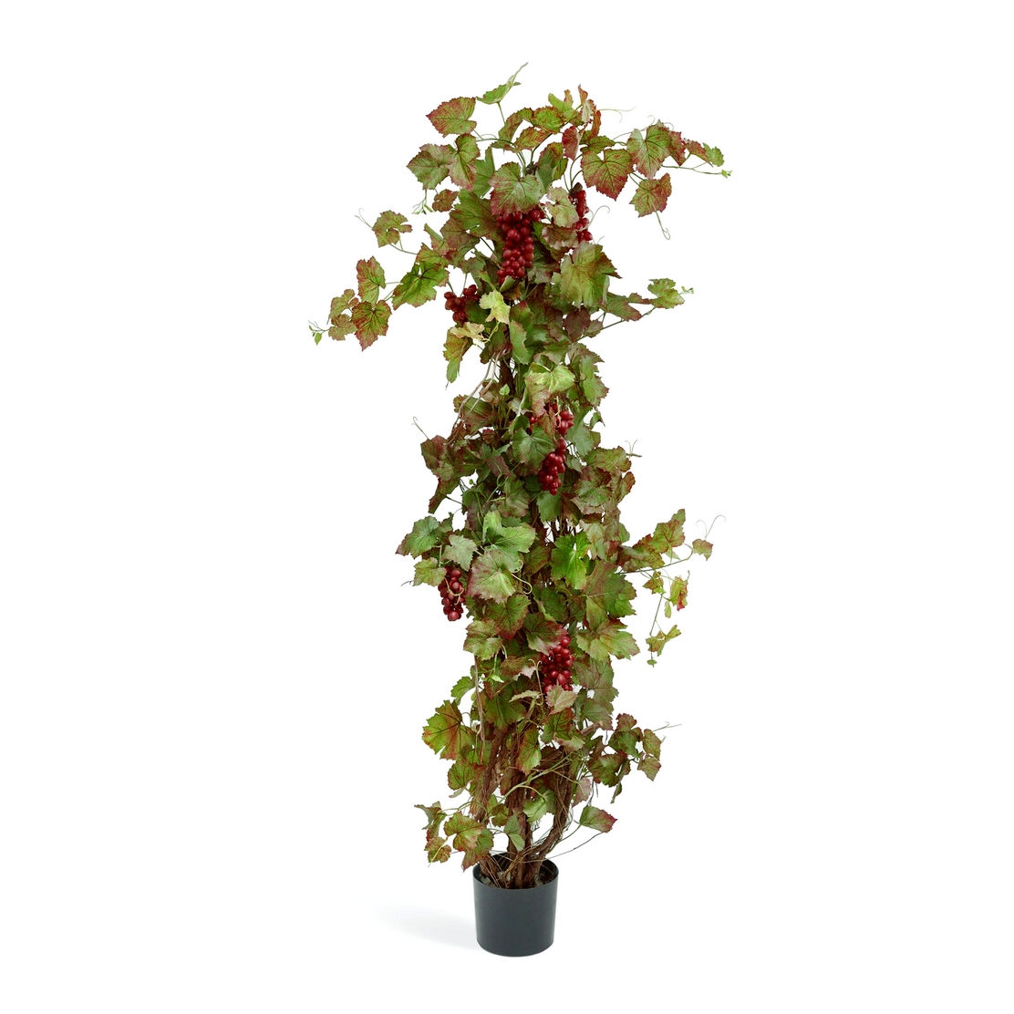 Виноградная лоза с красным виноградом 160 см