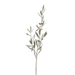 Ветвь оливы интерьерная с плодами (серия Prime) 78 см
