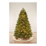 Высокая елка в Краснодаре