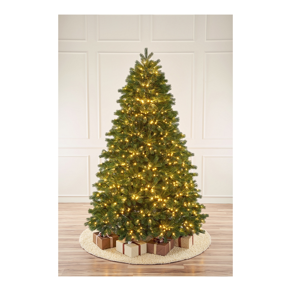 Высокая елка в Краснодаре